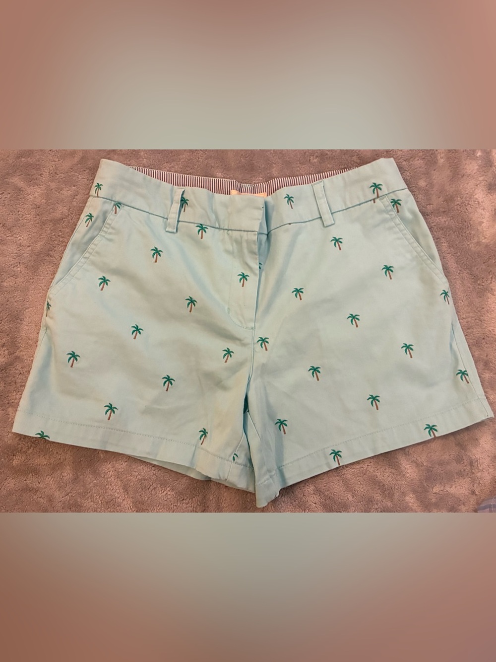 Women’s Cambridge Dry Goods Light Blue Palm-Embroidered Women’s Shorts Size 6